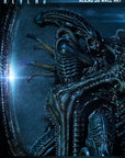 Aliens 3D Wall Art 32 x 50 cm