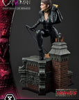 DC Comics Statue 1/3 Catwoman Deluxe Bonus Version Concept Design by Lee Bermejo 69 cm