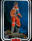 Star Wars Episode V Movie Masterpiece Action Figure 1/6 Luke Skywalker (Snowspeeder Pilot) 28 cm